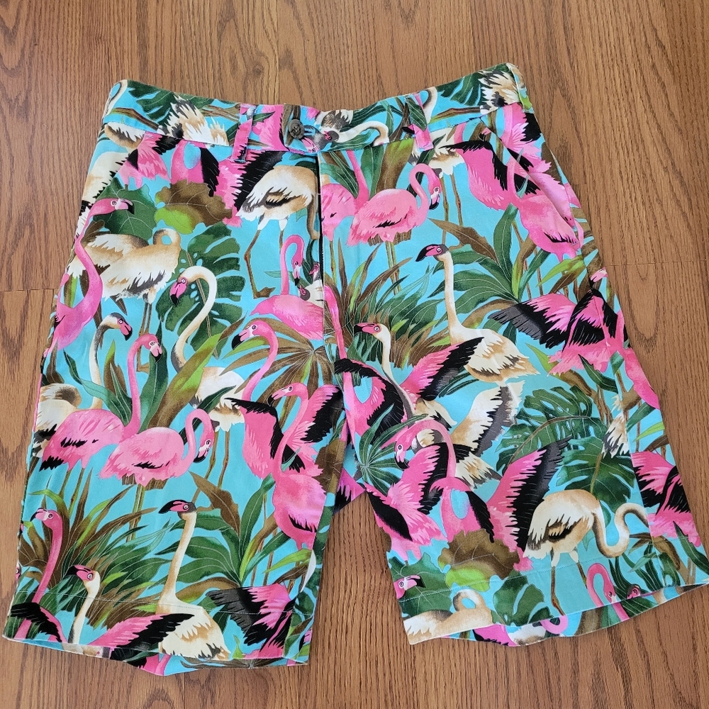 LOUD MOUTH Flamingo Pattern Shorts Size 34 Tropical Summer Fun Golf Preppy